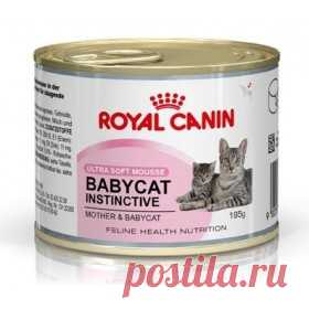 Купить Консерва ROYAL CANIN Babycat Instinctive (котята до 4 месяцев, беременные и кормящие кошки) 0,195 кг. в интернет магазине Харьков и Киев, отзывы, цена