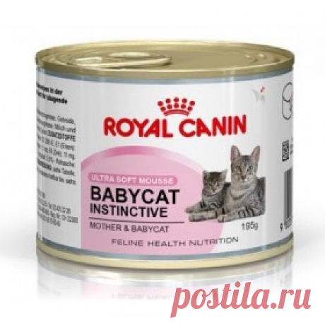 Купить Консерва ROYAL CANIN Babycat Instinctive (котята до 4 месяцев, беременные и кормящие кошки) 0,195 кг. в интернет магазине Харьков и Киев, отзывы, цена