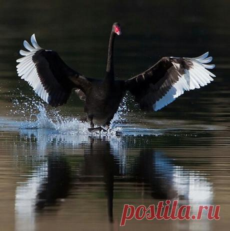Во всей красе