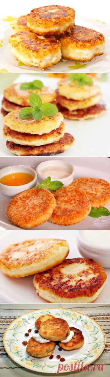 Сырники рецепты сырников из творога , 19 вкусных рецептов