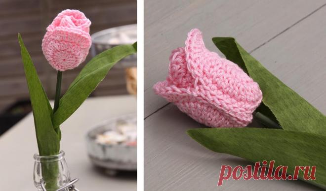 Нежный тюльпан своими руками Неувядающий тюльпан хорошо смотрится как соло, так и в букете. Благодаря подробному мастер-классу связать его сможет даже новичок.