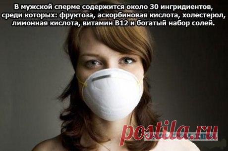 Сексуальные факты. Все, что вы хотели знать, но боялись спросить