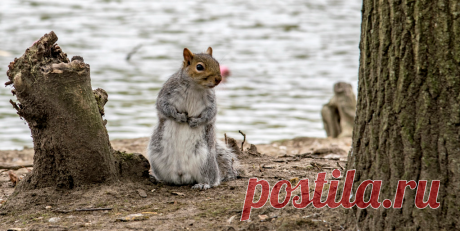 All sizes | 288 | Flickr - Photo Sharing!