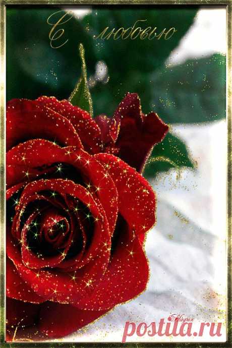 0_10f11f_b3554e5d_orig (550×825)