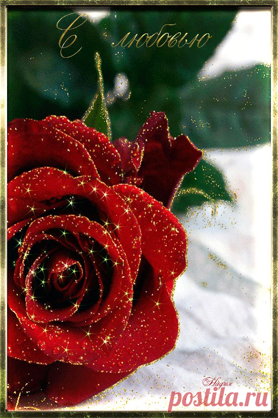 0_10f11f_b3554e5d_orig (550×825)