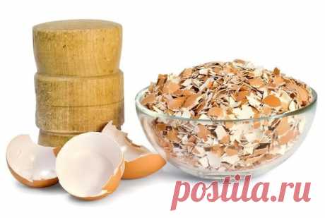 Действительно ли яичная скорлупа является хорошим удобрением? | Ваши 6 соток | Яндекс Дзен