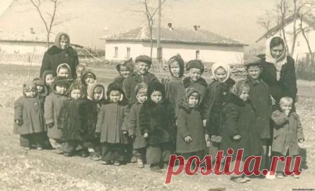 полозов в костромской журналистской организации в 1960-1970 г.: 10 тыс изображений найдено в Яндекс.Картинках