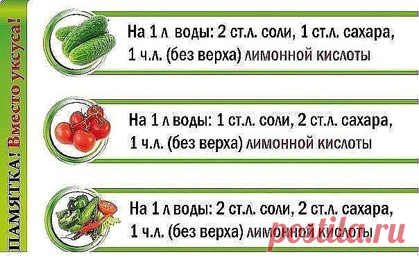 (21) Одноклассники