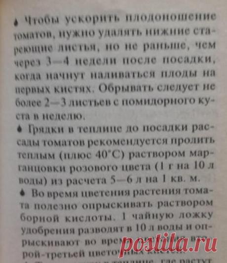 Огород. Советы про томаты