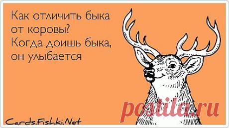 слова