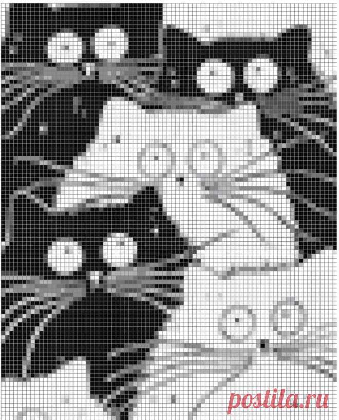 Pin page
