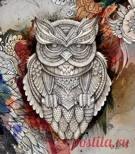 Сова иллюстрация с Balabolka через Behance