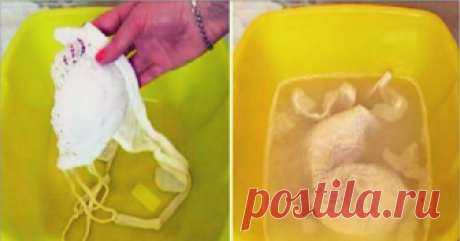 Как быстро отбелить бюстгальтер, чтобы он сиял, словно вчера купленный - Золотые Советы Вот только потратилась на белоснежный комплект, раз-два надела, а он уже подустал. Первыми спешат испортить обнову волокна одежды, пот и дезодорант. Следом — время и неправильный уход. “Привет”, серые и желтые оттенки на далеко не дешевом белье! К счастью, мы знаем, как быстро обновить белые бюстгальтер, маечки и трусы, чтобы они сияли, словно вчера купленные. Не забудьте защитить ручки...