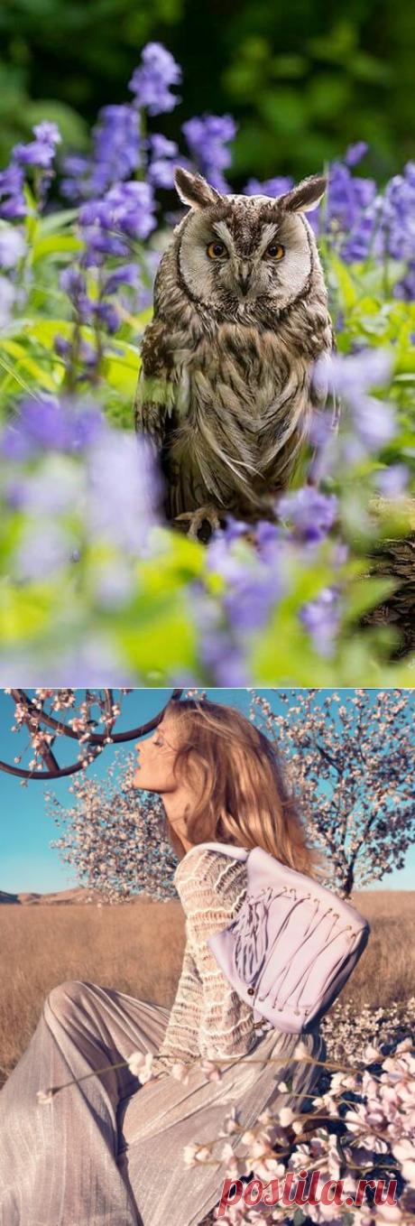 Пусть сказочные герои наслаждаются сказочной жизнью. Наша непридуманная жизнь куда лучше.