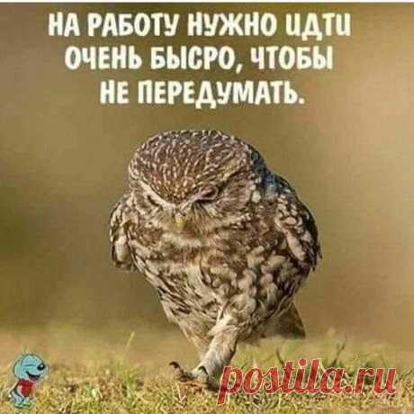 Подборка шуток о жизни женщинах