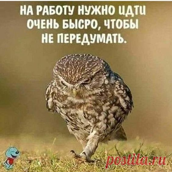 Подборка шуток о жизни женщинах
