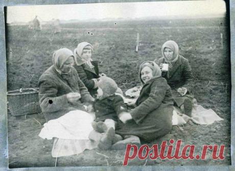 Советские застолья / Назад в  / Back in USSR