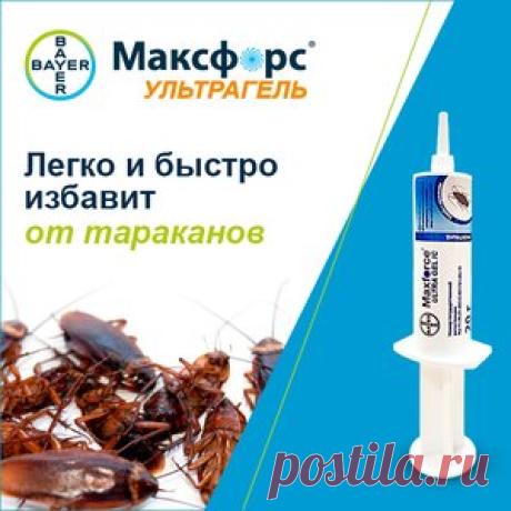 Простой совет, как реанимировать орхидею, если сгнили даже корни - МирТесен