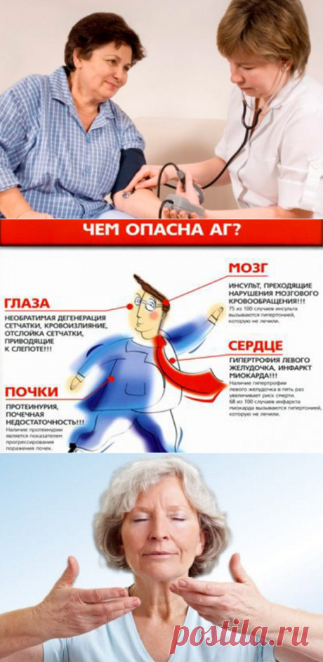 Что я делаю для того, чтобы удержать давление в норме: 9 простых способов для гипертоников | Блоггерство на пенсии | Яндекс Дзен
