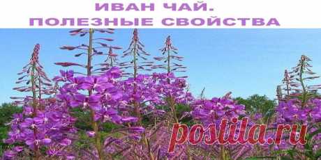 ЭФФЕКТИВНЫЙ МЕТОД ЛЕЧЕНИЯ ГОЛОВНОЙ БОЛИ
Этот метод лечения головной боли очень редок, и вы вряд ли найдёте его где-либо ещё. Он не требует никаких средств, никаких предметов, вообще ничего. Главное, что вам понадобится, это ваши ладони. Метод очень мощный и быстрый! Вы даже не заметите, как прошла боль. Вспомните о ней случайно, потом, когда голова уже не будет болеть. Сразу необходимо предупредить, что метод очень необычный и многие из вас могут в него не поверить. Однако...