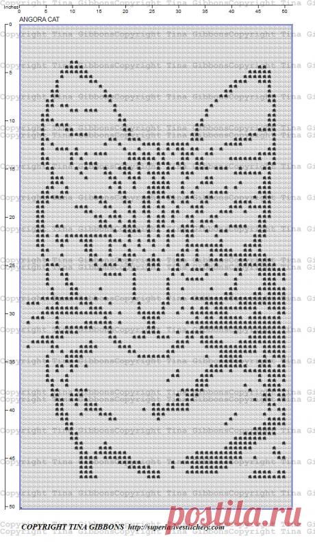 Angora+Cat.jpg (653×1124)