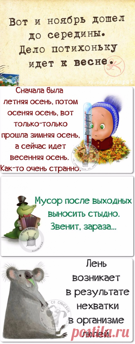 Смешные фразки для хорошего настроения