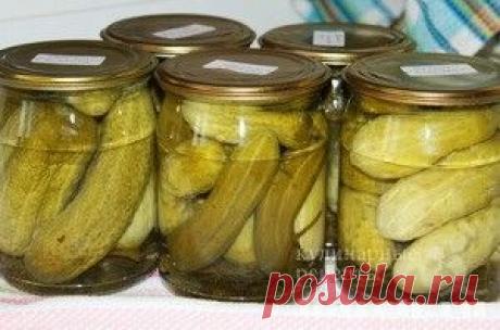 Огурчики с лимонкой «Детские» | Фоторецепт с подробным описанием от Харч.ру