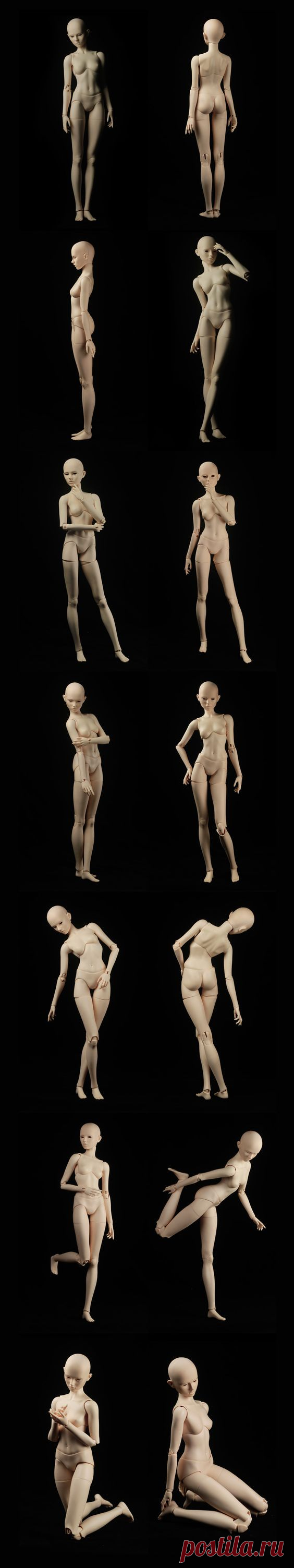 Female Body nuevo