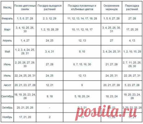 Планируем
    Работу в саду.
      Календарь работ цветовода 
            на ноябрь-декабрь.
Читайте по ссылке:
https://business-on-lain.ru/kalendar-rabot-cvetovodov-noyabr-dekabr.html
•••

КАЛЕНДАРЬ РАБОТ ЦВЕТОВОДОВ | Цветники, газоны, поделки
В ноябре наступило время для просушивания луковиц гладиолусов, матбреции.  Отделите от луковицы землю, старую луковицу, маленькие детки, корни. Разберите луковицы по сортам и размерам. Рекомендаци ...