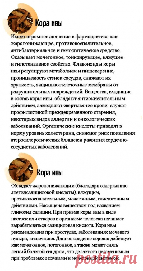 Кора ивы