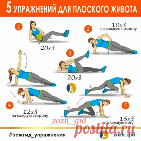Лучшие упражнения для пресса