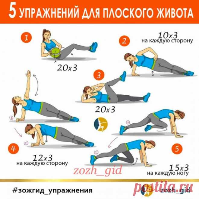 Лучшие упражнения для пресса