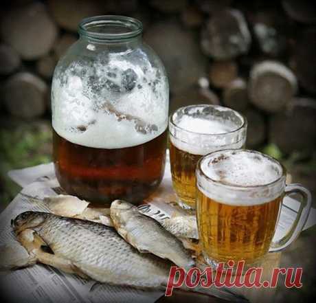 Готовим вяленую воблу | Домохозяйки