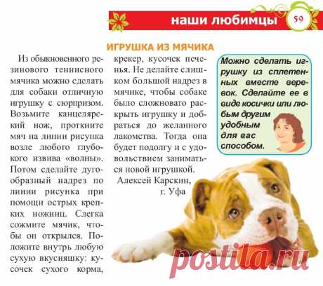 Игрушка для собаки