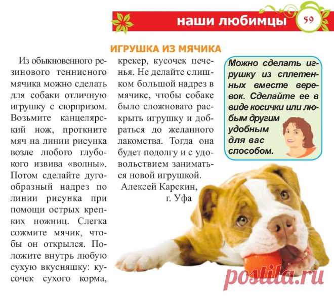 Игрушка для собаки