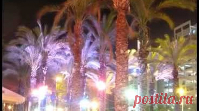 Художница Маргарита Глемборг превращает камни в котов. Очень круто смотрится.