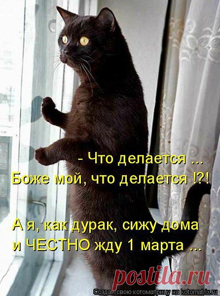 Ольга: Сдаю дом в Суздале