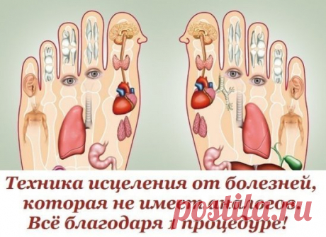 Сохраните, чтобы не потерять
СОВЕТ 1: Ноги испытывают огромную нагрузку на протяжении всего дня. Очень часто мы страдаем от усталости ног по вечерам, особенно женщины, которым так нравятся каблуки… Массаж ступней помогает снять напряжение, но делать его необходимо не только поэтому!
Согласно принципам рефлексологии, на ступнях ног расположены основные точки, которые отвечают за правильную работу