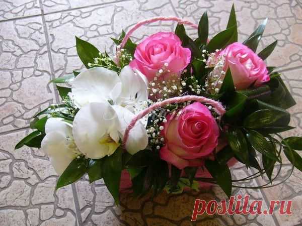 выпечка с яблоками -рецепты
http://postila.ru/post/search?