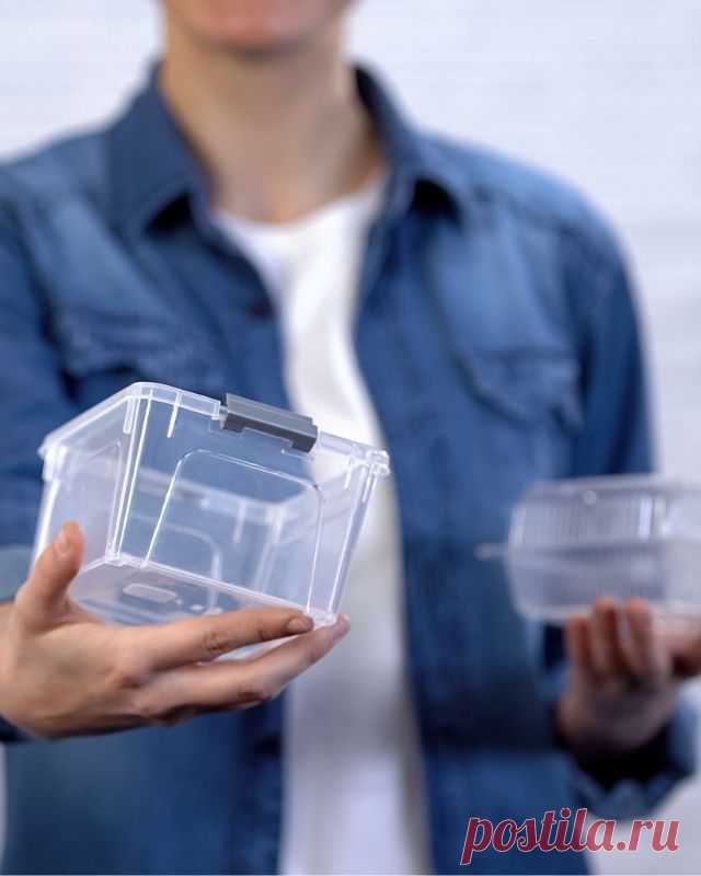 Продукты которые нельзя хранить в пластиковых контейнерах — Гармония в тебе