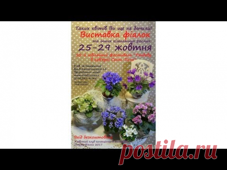 Виставка фіалок "Рандеву в кав'ярні Сент-Поль 2017"