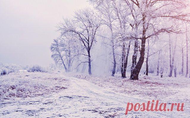 Народные приметы: 3 ноября - Погода на Joinfo.ua