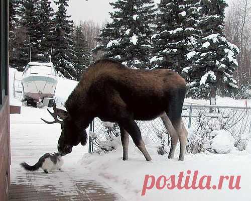 Новости