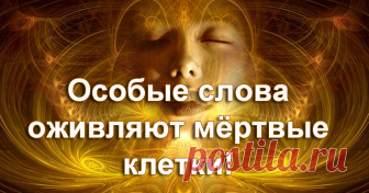 СЛОВА, КОТОРЫЕ ОЖИВЛЯЮТ МЕРТВЫЕ КЛЕТКИ... 
В ходе исследований ученые были поражены, какой огромной силой обладает слово. А также немыслимый эксперимент ученых по воздействию созидающей мысли на жестокость и насилие.
Как же им удалось этого д…