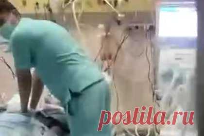 Врачи госпиталя на Бали покалечили российских туристов и взяли с них миллионы рублей