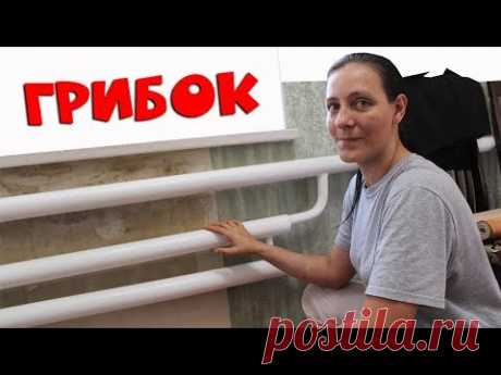Как клеить обои чтобы не появился Грибок