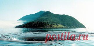 Вокруг света - – Page 2 of 4 – Фитнес для мозга