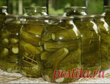 Засолка огурцов - рецепты с фото / Простые рецепты