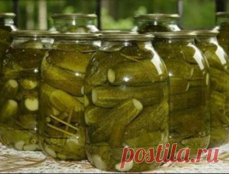 Засолка огурцов - рецепты с фото / Простые рецепты
