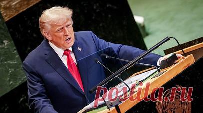 Трамп пригрозил Гондурасу «адской расплатой» из-за ситуации на выборах. Президент США Дональд Трамп пригрозил властям Гондураса «адской расплатой», если там не закончат подсчитывать голоса на выборах. Американский лидер заявил, что местный избирком якобы резко прекратил работу. Читать далее